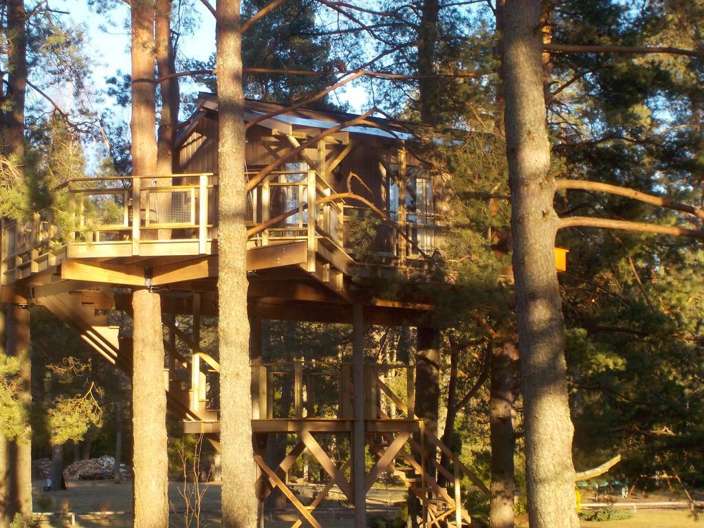 Treehouse Ciekurs Βίλα Dukuri Εξωτερικό φωτογραφία