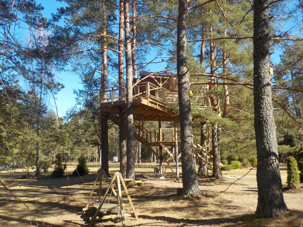 Treehouse Ciekurs Βίλα Dukuri Εξωτερικό φωτογραφία